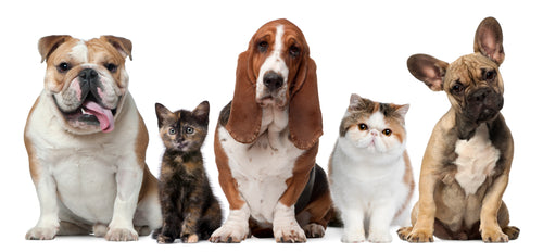 Pet People logo