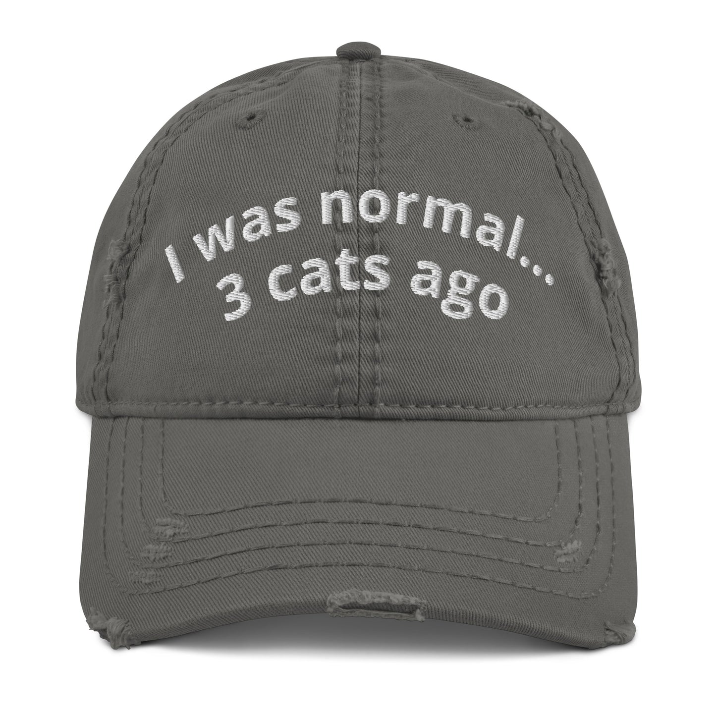 I was normal 3 cats ago... Hat