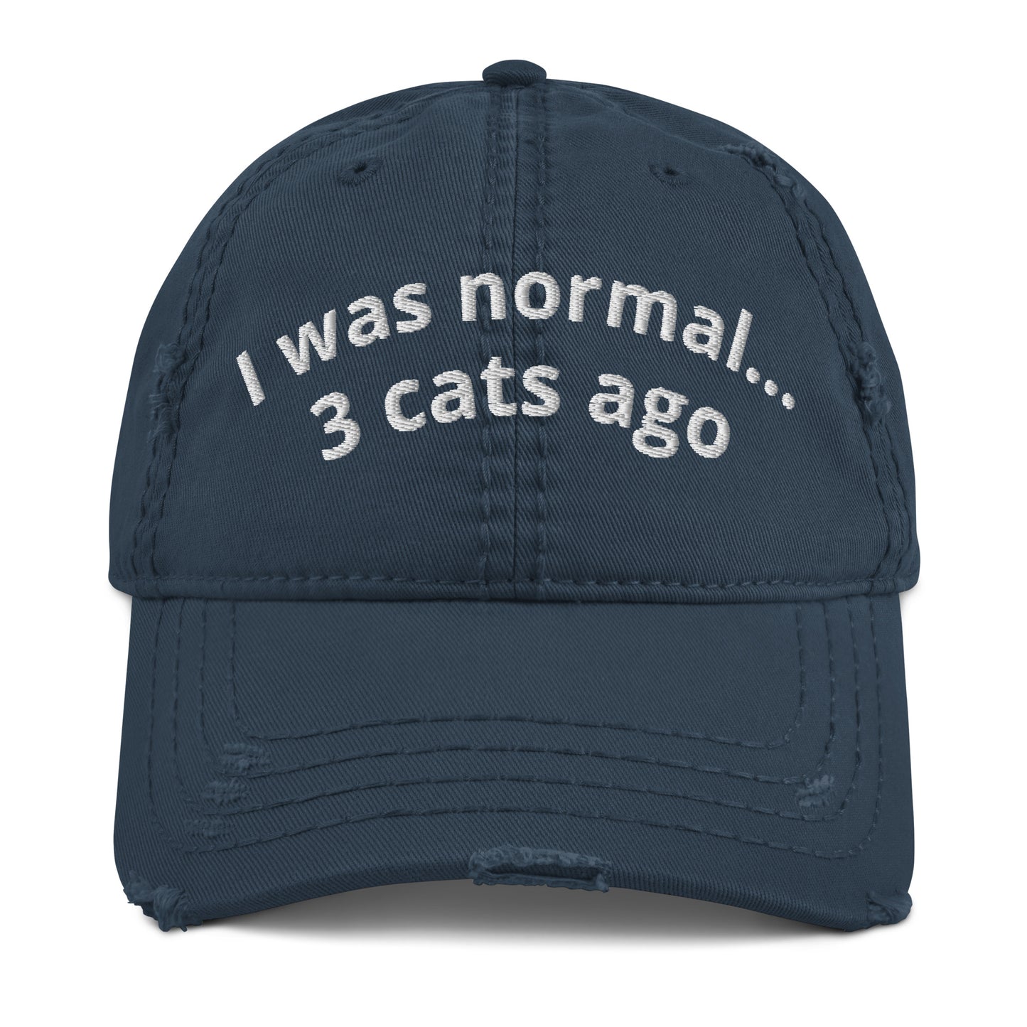 I was normal 3 cats ago... Hat