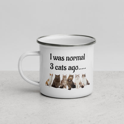 I Was Normal ....Enamel Mug